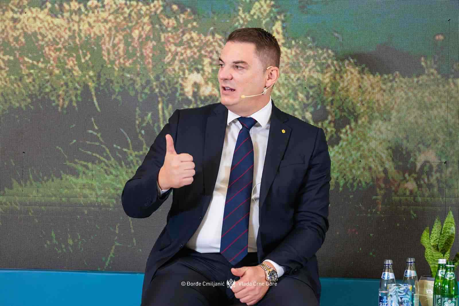 Šahmanović na panelu „Investicije u održivu energetsku budućnost“