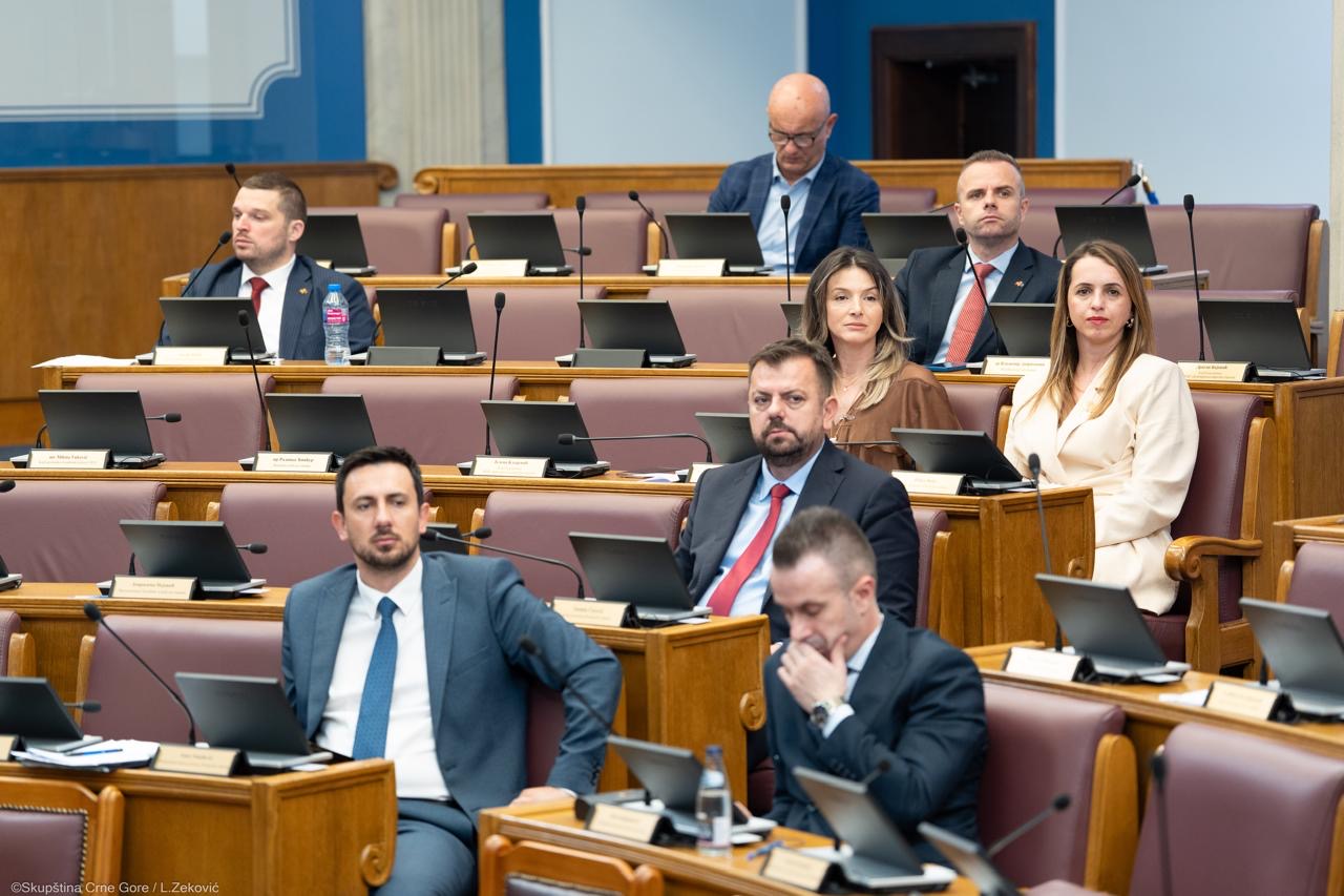 SMAILOVIĆ: Predložili smo uvođenje naknada za materinstvo za supruge odnosno partnerke lica koja se bave preduzetničkom djelatnošću